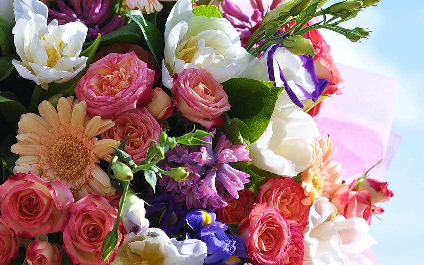 Цветы Букеты Фото Обои рабочий стол