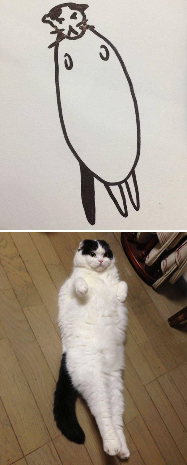 cat_drawings_09
