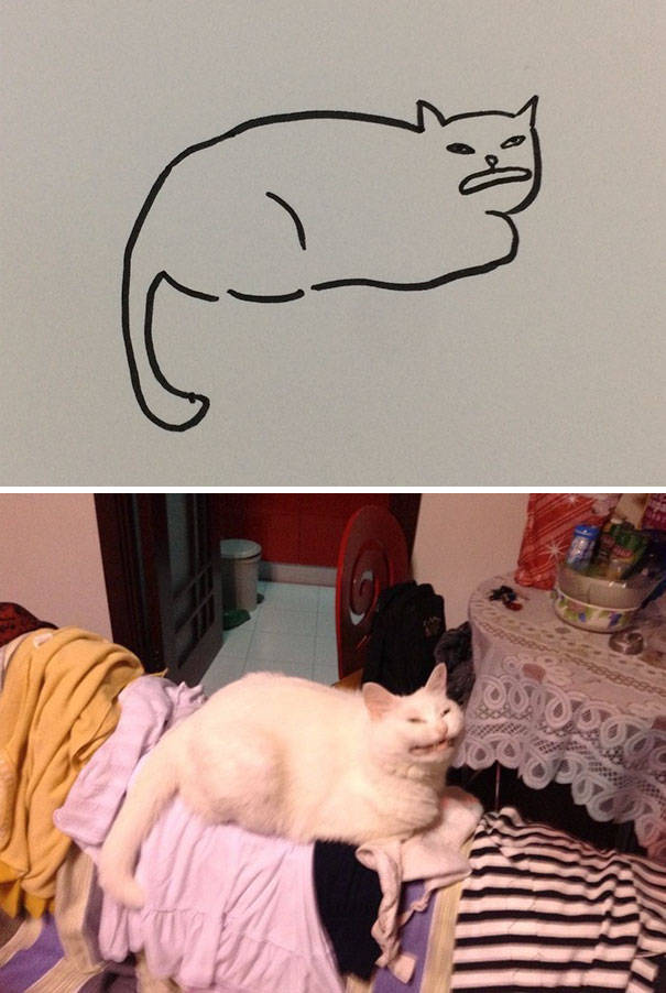 cat_drawings_12