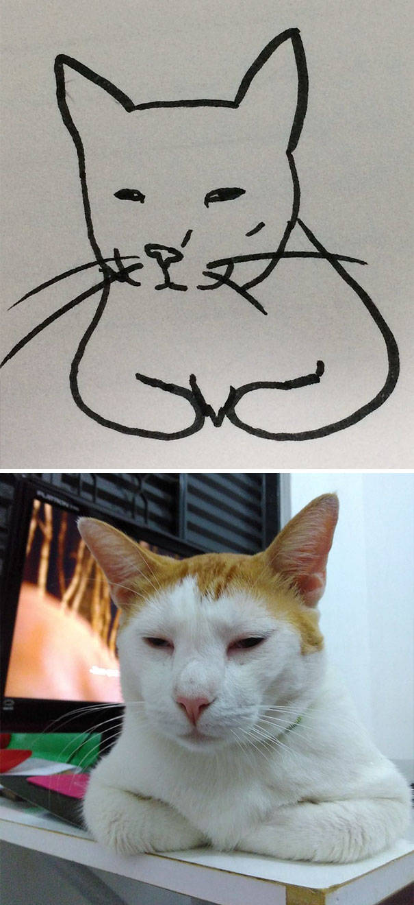 cat_drawings_13