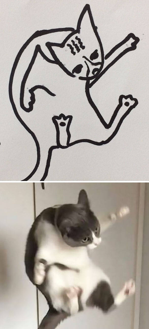 cat_drawings_14